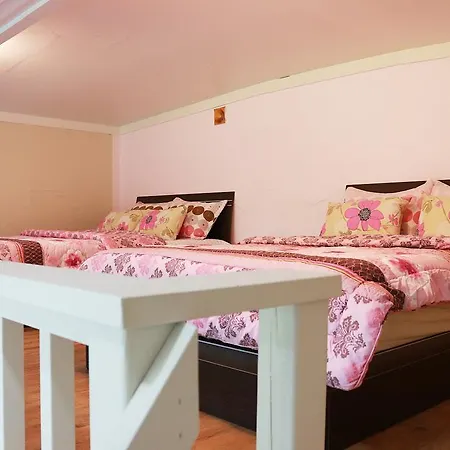 Dreaming Forest Pension Seogwipo Room photo