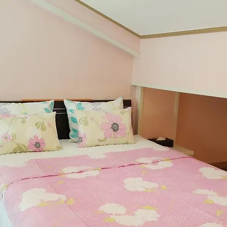 Dreaming Forest Pension Seogwipo Room photo