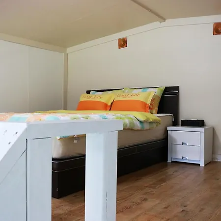 Dreaming Forest Pension Seogwipo Room photo