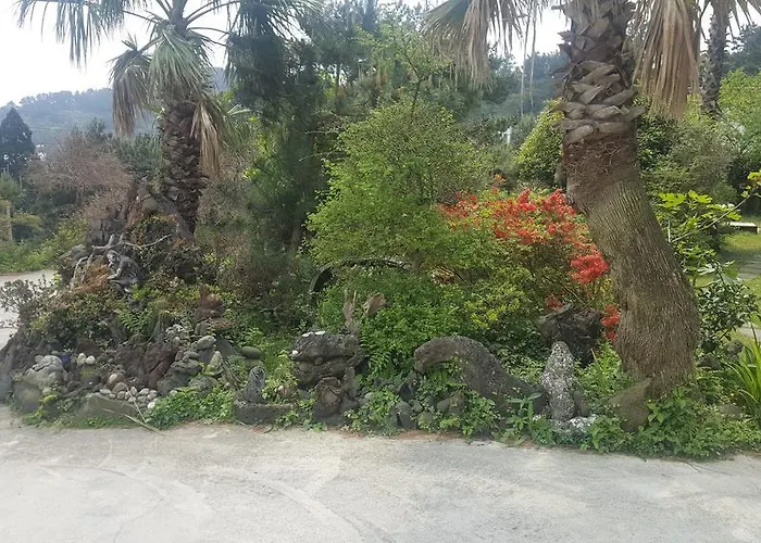 Dreaming Forest Pension Seogwipo