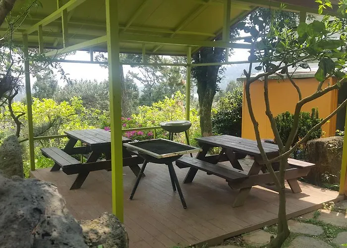 Dreaming Forest Pension Seogwipo