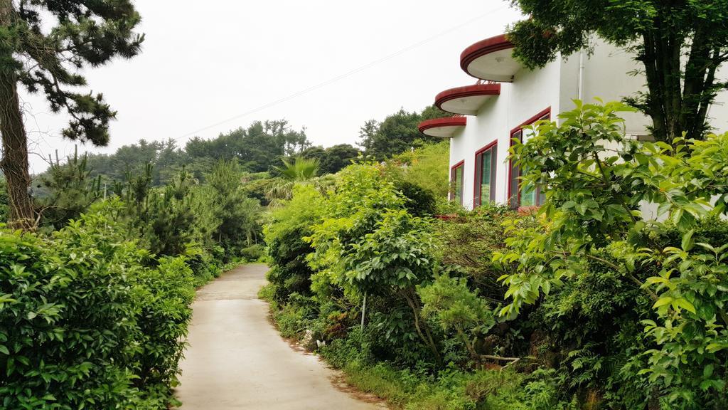 Dreaming Forest Holiday home *