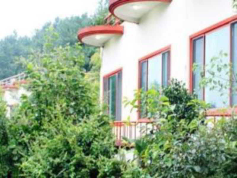 Dreaming Forest Holiday home *